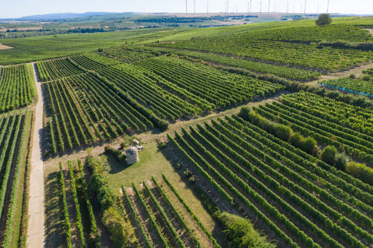 Flörsheim-Dalsheim-Mobile